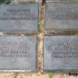 Tabliczki z grobów żołnierzy niemieckich.