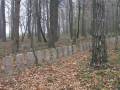 miejsca:1914:lodzkie:witkowice:2008-11-02:pb024254.jpg