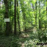 korzen.kr14.km001.jpg