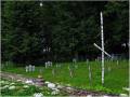 miejsca:1914:rosja:obwod_kaliningradzki:gawrilowo:2012-07-13:herzogsrode02.jpg