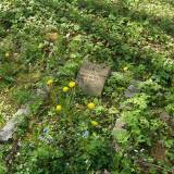 Jedwabno, kwatera wojenna na dawnym cmentarzu wiejskim
