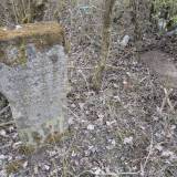 niedzwiedzkieii01.jpg
