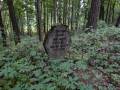 miejsca:1914:warminsko-mazurskie:olszewo3:2025-09-06:olszewo02.jpg