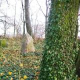 Pozorty, kwatera wojenna na dawnym cmentarzu wiejskim
